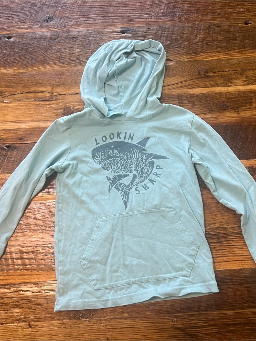 Life Is Good Seafoam Green Hoodie with Printed Graphic